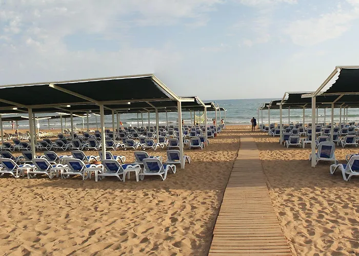 Fun&sun Smart Hane Sun Colakli